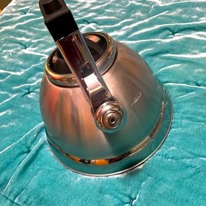 Stainless steel whistling kettle 3L 2.34L fill mark 1 Tea kettle + 2 Infusers